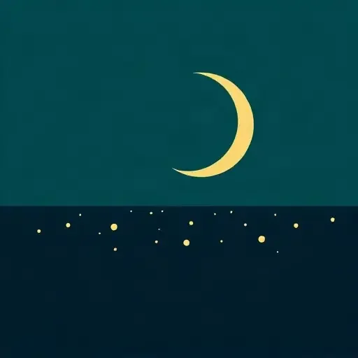 星河入梦 头像